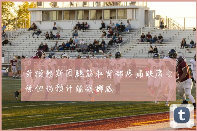 劳模赖斯因腿筋和背部疼痛缺席合练但仍预计能战挪威