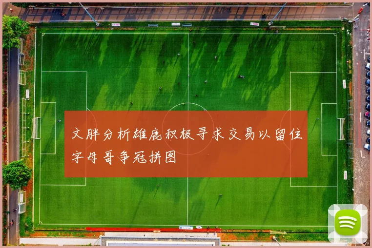 文胖分析雄鹿积极寻求交易以留住字母哥争冠拼图