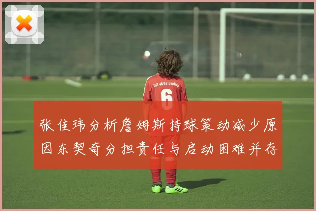 张佳玮分析詹姆斯持球策动减少原因东契奇分担责任与启动困难并存